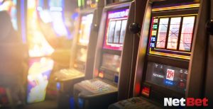 haojinbet - App Bet Oficial